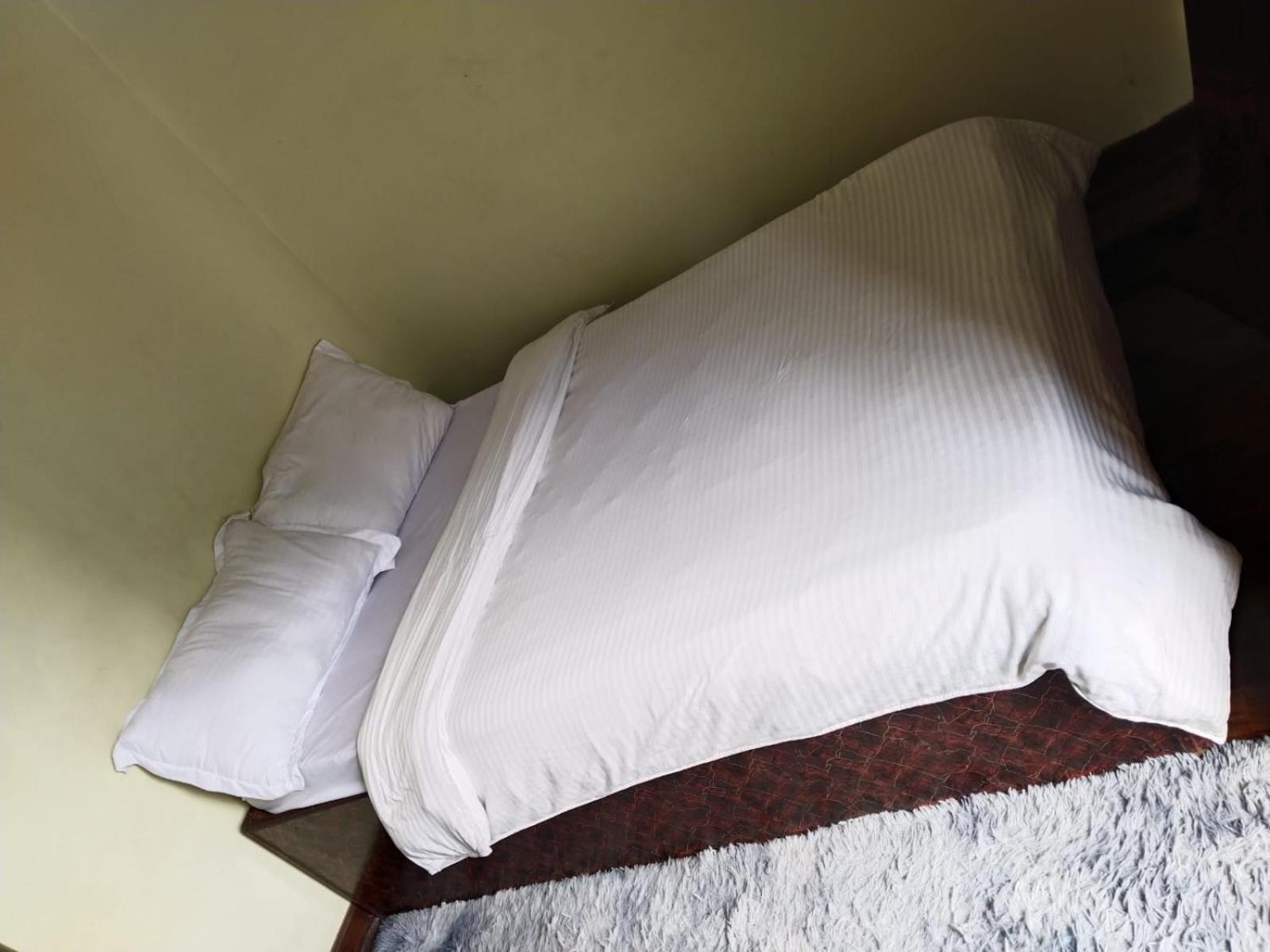 Kathmandu Airport View Hotel And Lodge 外观 照片