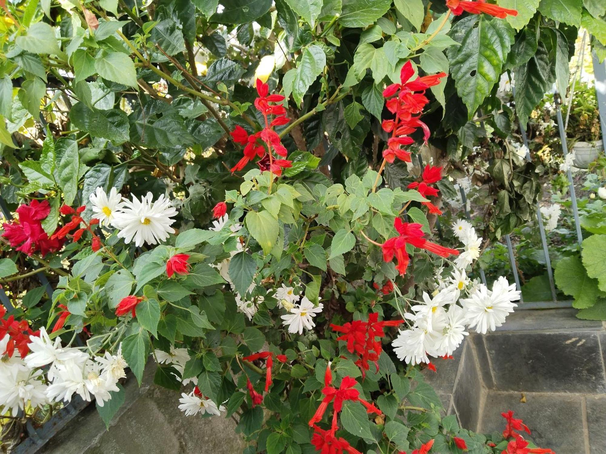 Kathmandu Airport View Hotel And Lodge 外观 照片